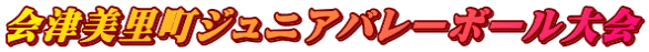 会津美里町ジュニアバレーボール大会